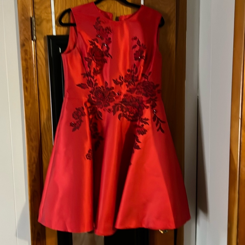Gorgeous dress for parties almost like new no signs of wear or tears